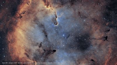 IC1396_final.jpg