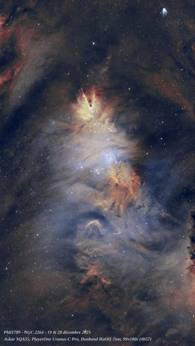 NGC22264-Christmas2.jpg