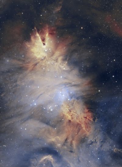 NGC2264_cropped.jpg
